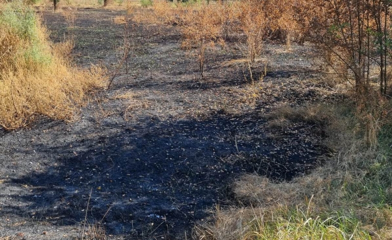 Рекомендации по соблюдению мер по предупреждению пожаров