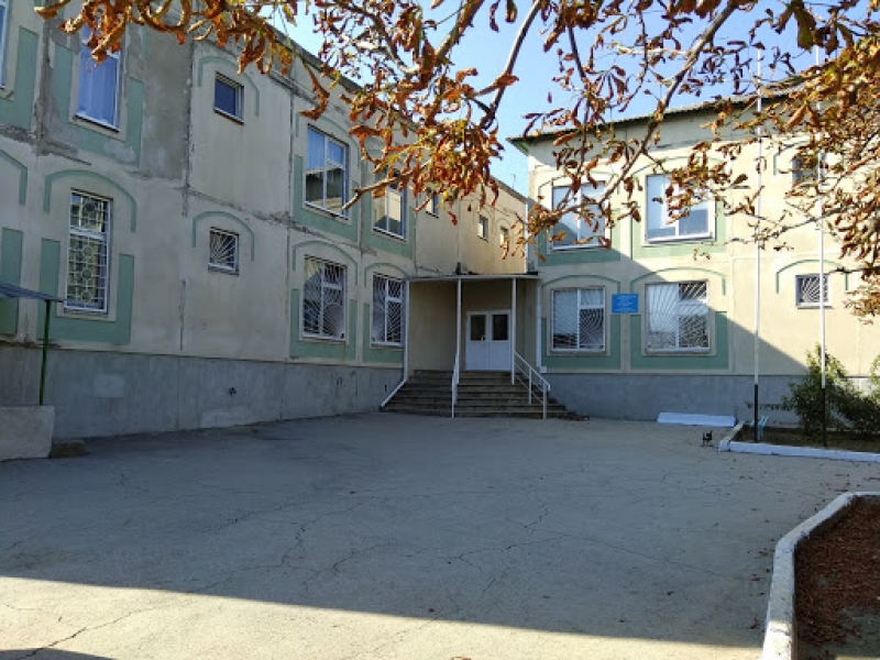 Учебные заведения Гагаузии переходят на дистанционную форму обучения