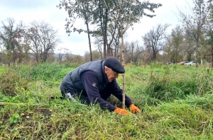 В парке Молодежи высадили ещё 1200 саженцев деревьев