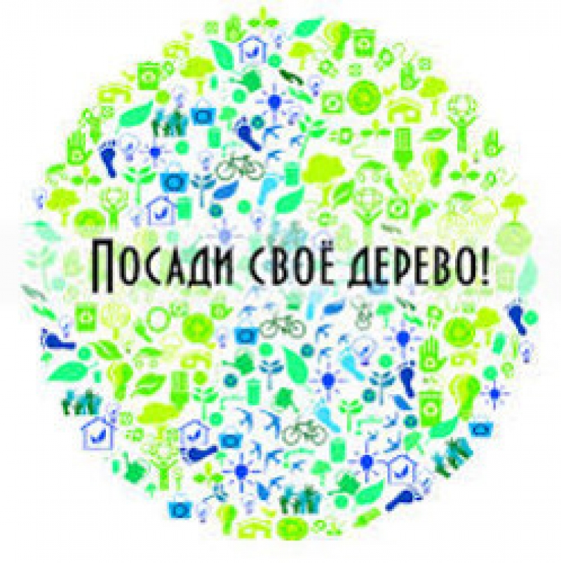 Городской питомник бесплатно отпускает саженцы деревьев