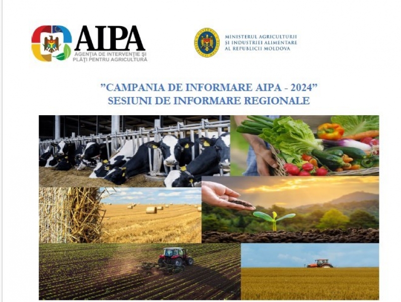 Агентство AIPA проведёт семинар в области сельского хозяйства в Чадыр-Лунге