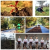 ВСПОМНИМ 2015 год &ndash; Часть 6. Городские парки и питомник