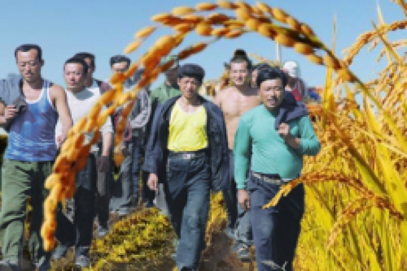 Внимание! Семинар