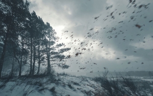 Внимание! Ожидается усиление ветра &ndash; объявлен желтый код