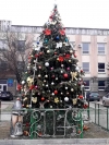 Местные власти и жители Чадыр-Лунги объединились и &nbsp;украсили новогоднюю ель